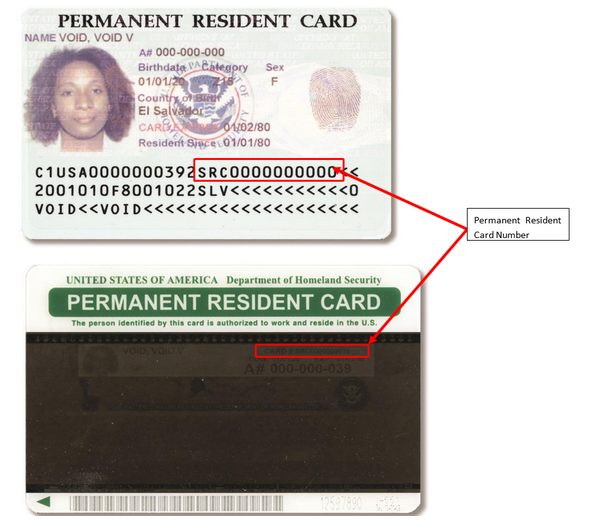 Close-up of a permanent resident card

Description automatically generated